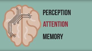 Neuromarketing Inside the Mind of the Consumer [upl. by Stafani]