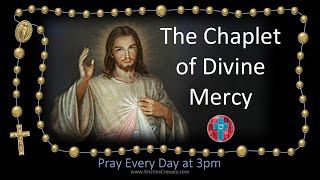 Pray the Chaplet of Divine Mercy the 3 oclock prayer multilanguage cc subtitles [upl. by Soisanahta]