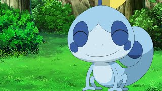 Sobble Evolves Into Drizzile  Pokemon Master Journeys The Series [upl. by Ellene577]