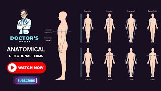 Anatomical Directional Terms [upl. by Lotsirb]