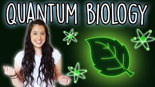 Quantum Biology Part 1  How Plants Use Quantum Mechanics [upl. by Yuhas825]