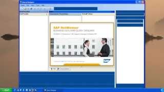 SAP BW  How To Start The SAP BEx Query Designer  Screen Layout [upl. by Ynnus613]