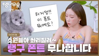 공지 태연 손글씨 폰트 무료 나눔의 건  TAEYEON 태연 탱나무숲 EP07 폰트 [upl. by Nayllij]