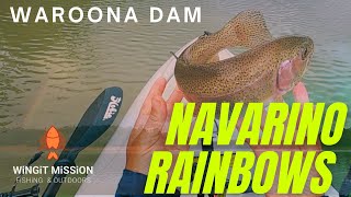 Lake Navarino  Waroona Dam  Rainbow Trout  Western Australia [upl. by Arobed]