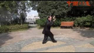 wudang kung fu onlinefolk master show wuxing yin yang palm 五行阴阳掌 [upl. by Anailil826]