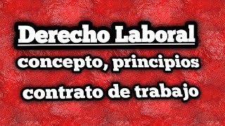 Derecho Laboral Concepto funciones y contrato de trabajo [upl. by Laud]