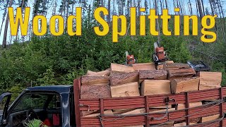 Wood Splitting Process  From Cutting Trees to Splitting Logs [upl. by Nhojleahcim283]