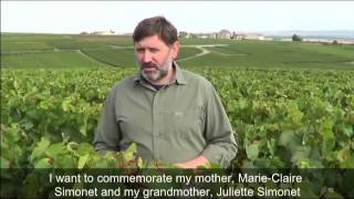 A New SingleVineyard Blanc de Blancs from Champagne PehuSimonetmp4 [upl. by Clellan]