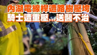 內湖電線桿遭路樹壓垮 騎士遭重壓送醫不治 [upl. by Adnaluy]