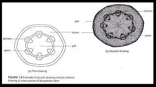 BIOLOGY FORM 4 KSSM CHAPTER 1 INTRODUCTION TO BIOLOGY AND LABORATORY RULES [upl. by Sloane416]