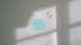 Mitosis Whiteboard Stop Motion Animation [upl. by Veejar]