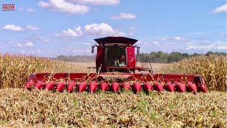 CASE IH 16 Row Corn Head [upl. by Rudie]