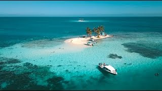 Diving the Second Largest Reef in the World  Belize [upl. by Hardwick]