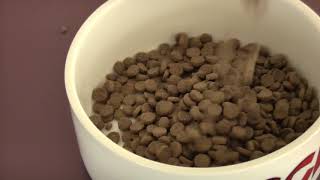 How kibble is made  what every pet parent should know [upl. by Yoshio]