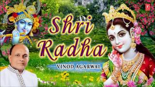 Shri Radha RADHA KRISHNA Bhajan by Vinod Agarwal I Audio Art Track [upl. by Aihsoem]