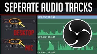 How to Record Multiple Separate Audio Tracks  OBS Tutorial [upl. by Kendricks]