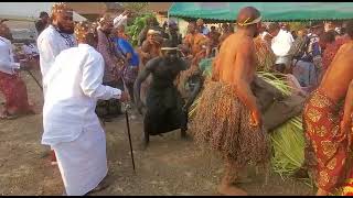 Cameroon Roads Untraveled Bakweri Elephant Dance 2 [upl. by Festa]