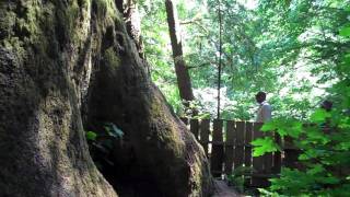 The Official Sooke British Columbia Tourism Video [upl. by Aiz]