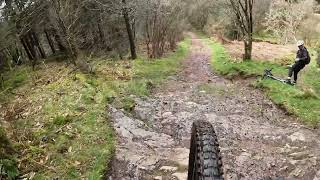 Dalbeattie Forest with Ian  190324 [upl. by Enomal]