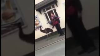 MAN WALKS HIS EMU DOWN THE STREET [upl. by Einnal269]