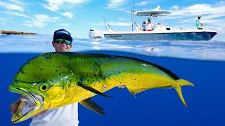 FILLED Dream Boat with PRIZED Deep Sea Fish Catch Clean Cook Mahi Mahi [upl. by Nnayram]