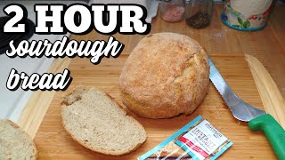 The Easiest Way to Make Sourdough Starter for Lazy People [upl. by Aehcim]