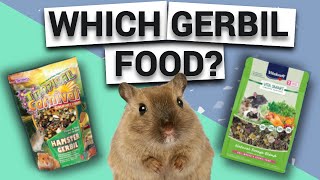 Gerbil Diet Comparing Gerbil Foods [upl. by Ammadis]