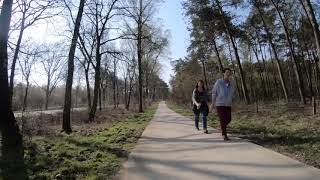 4K fietsroutes door Nederland Lange 312 uur bos route van Wezep naar Ermelo [upl. by Attayek]