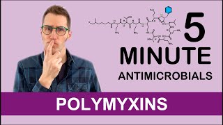 Polymyxins  5 Minute Antimicrobials [upl. by Azzil974]