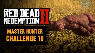 Red Dead Redemption 2 Master Hunter Challenge 10 Guide  Kill the legendary panther “Giaguaro” [upl. by Derfla199]