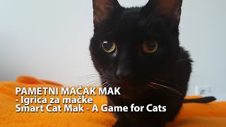 Pametni mačak Mak  Igrica za mačke  Smart Cat Mak  A Game for Cats [upl. by Ynnol523]