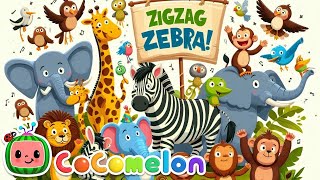 Zig Zag Zebra Fun Adventure with Stripes  Learn with Rhyme amp Riddle Magic [upl. by Jenny5]