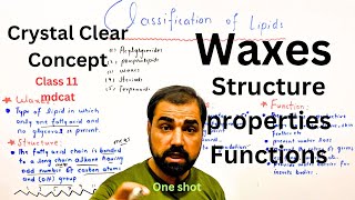 Waxes structure properties and functions  one  Classification of lipids  in Urdu Hindi [upl. by Airdnek]