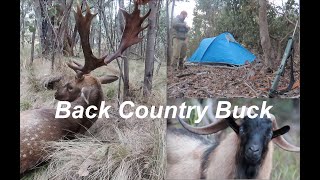 Back Country Buck  A Fallow Deer Hunt in New South Wales [upl. by Netaf]