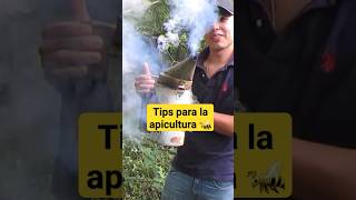 Apicultura para principiantes Aprende a cuidar a las abejas con éxito [upl. by Shakespeare]