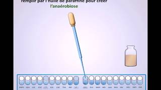 la galerie API 20E pour lidentification des enterobactéries [upl. by Sibley]