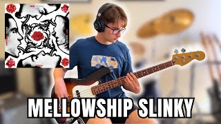 Mellowship Slinky in B major RHCP  Bass Cover [upl. by Enrica]