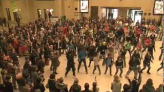 FLASHMOB  central station in BRUSSELS Belgium [upl. by Xad]