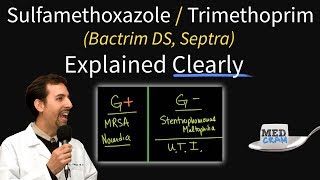 SulfamethoxazoleTrimethoprim Bactrim Septra Uses Coverage Dosage UTI Treatment Etc [upl. by Ancell]