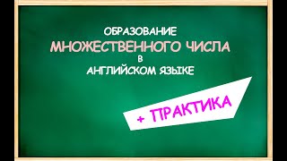 МНОЖЕСТВЕННОЕ число существительных в АНГЛИЙСКОМ языке  ПРАКТИКА [upl. by Yliak]