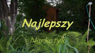 Najlepszy Narkotyk [upl. by Ordnasela]