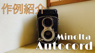 【中判フィルムカメラ】二眼レフ『Minolta Autocord』の作例紹介 [upl. by Rolan260]