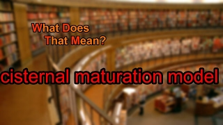 What does cisternal maturation model mean [upl. by Bonis]