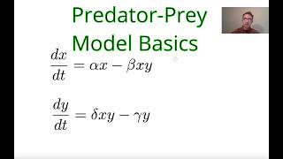 PredatorPrey Model LotkaVolterra Overview and Steady States [upl. by Couhp]