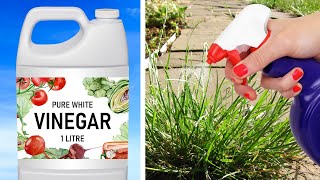 15 Unexpected Uses of Vinegar That Actually Work [upl. by Nastassia831]