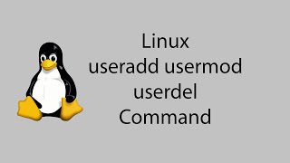 Learn Linux 13  useradd usermod userdel Command [upl. by Eimor]