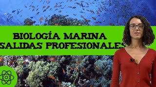 Biología marina 🐳 Qué es Salidas profesionales [upl. by Ardek]