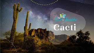 Cacti  Fun Facts About Cacti  Botany  The Good and the Beautiful [upl. by Eladnor]