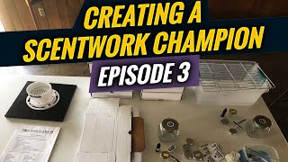 Getting Started in Scentwork  Creating a Scentwork Champion Episode 3 [upl. by Macpherson]