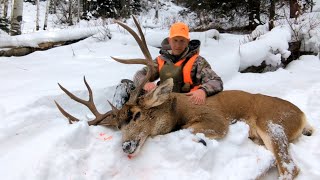 MAJESTIC  Late Season Mule Deer Hunt [upl. by Ibbison]